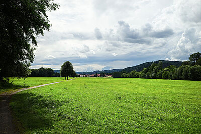 Weg von Schleusingen nach Rappelsdorf Weg von Schleusingen nach Rappelsdorf