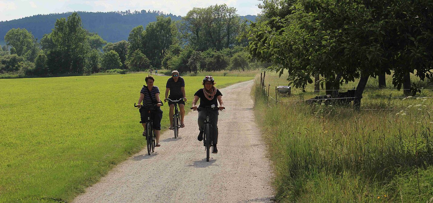 Radweg im Werratal Radweg im Werratal