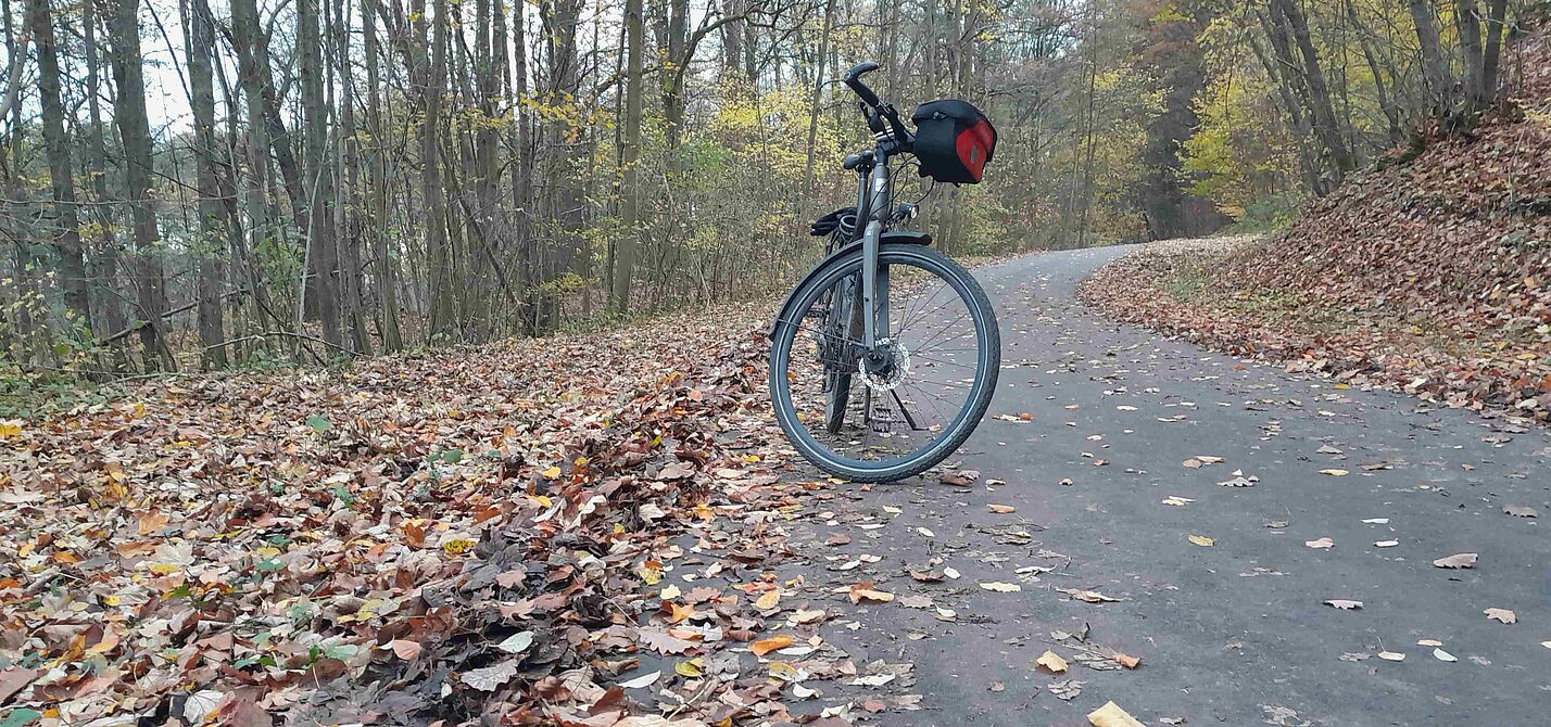 Am Siebenborn wird gekehrt. Keine Blätter mehr, und auch keine Sturzgefahr per Rad im Herbst.
